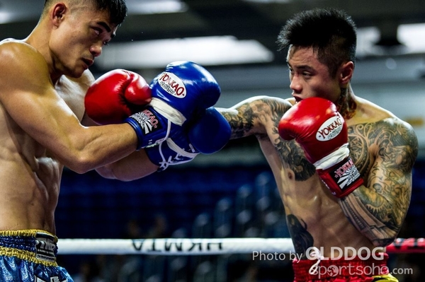 MuayThai208