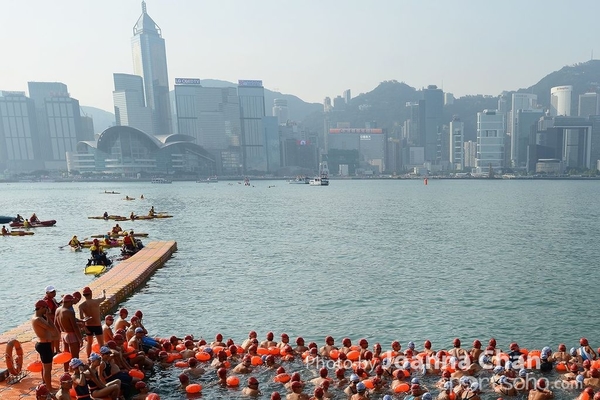 维港泳 (17)
