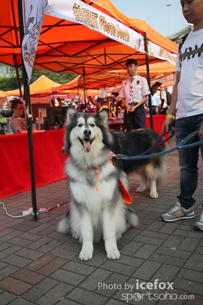 WKX_2689
