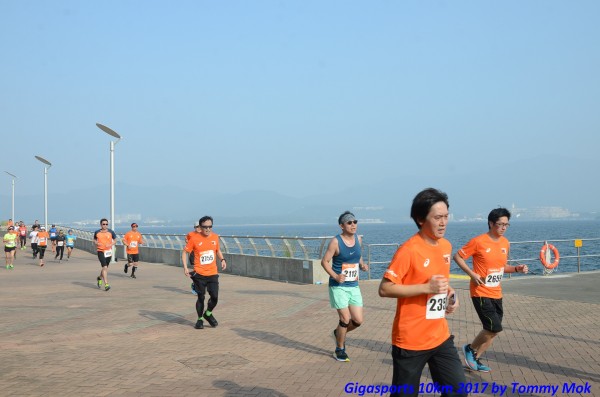 GNDR02017