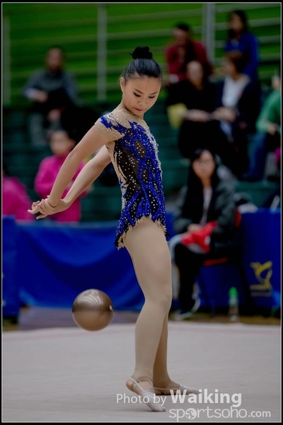 2017-11-26 Rhythmic Gym 1301