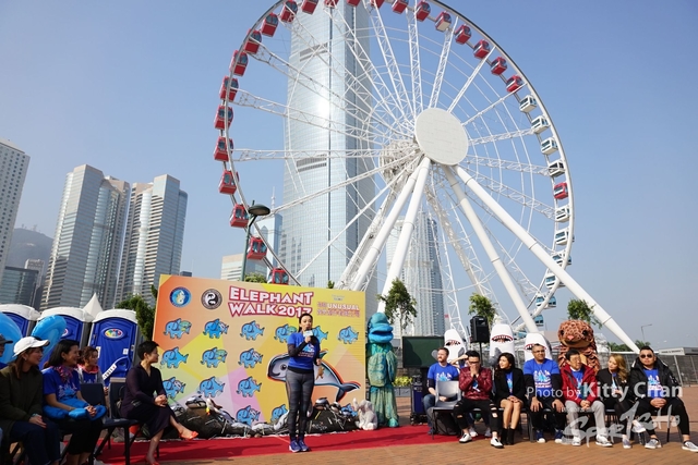 DSC05031