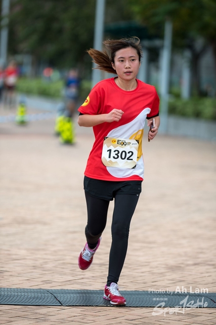 Lam-377