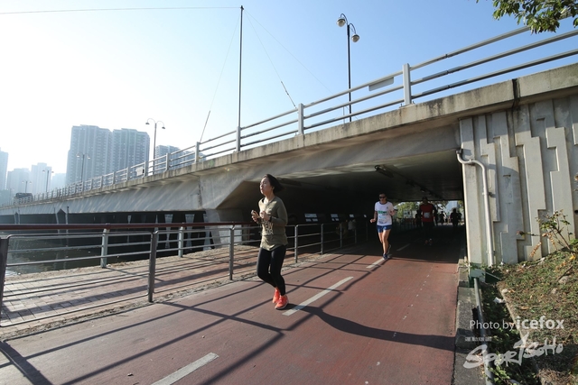 WKX_1781