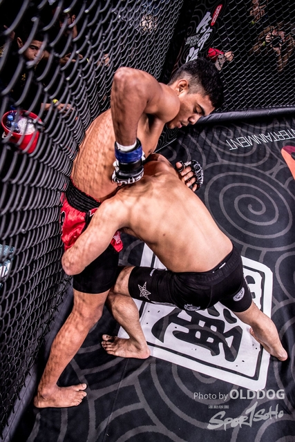 MMA-5