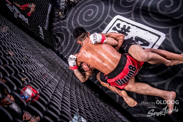MMA-6