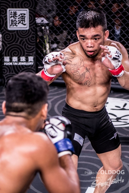 MMA-10