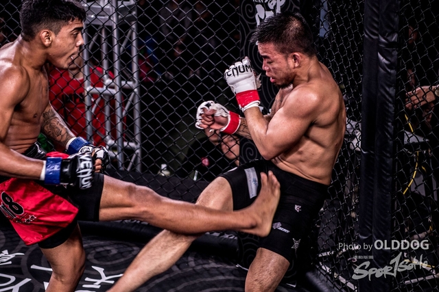 MMA-12