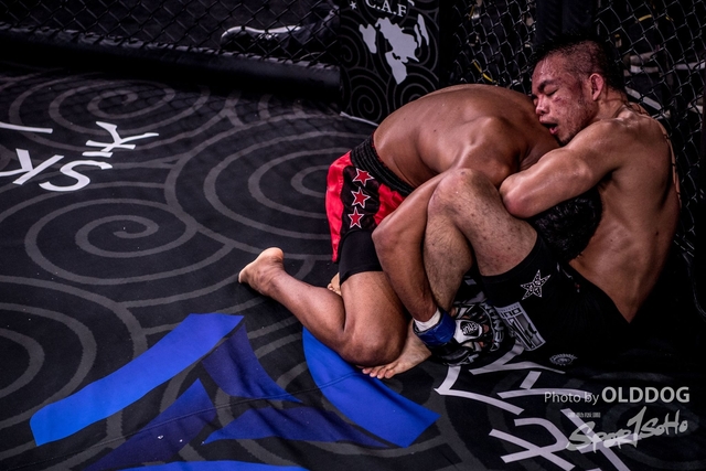 MMA-15
