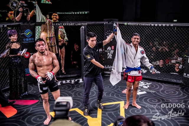 MMA-19