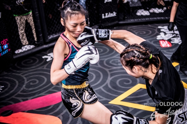 MMA-22