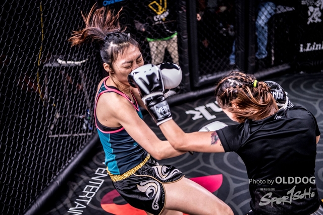 MMA-23