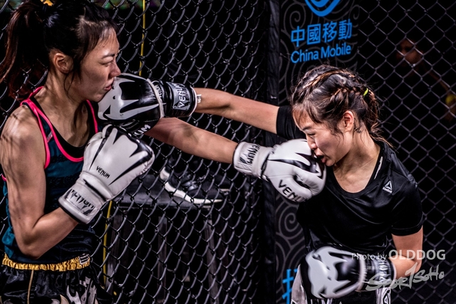 MMA-24