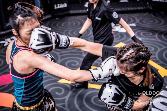 MMA-25