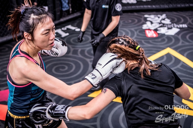 MMA-26
