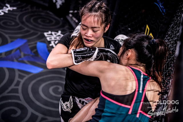 MMA-29