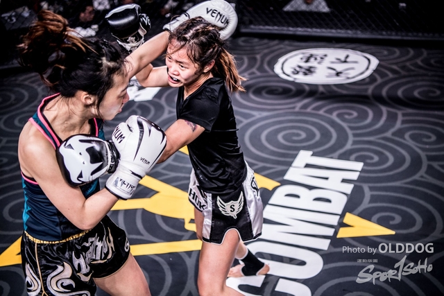 MMA-33