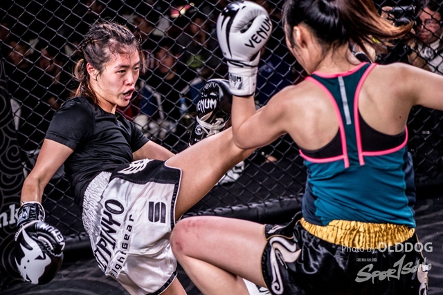 MMA-35