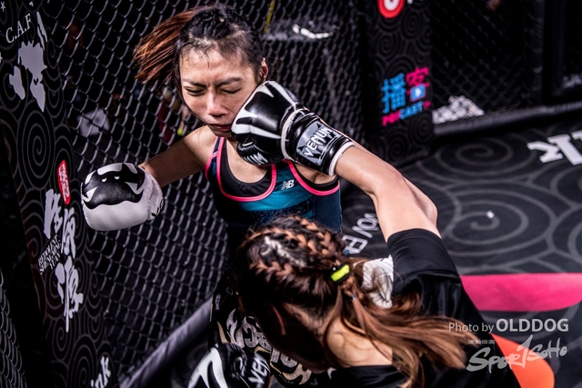 MMA-42