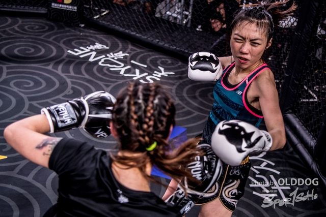 MMA-48