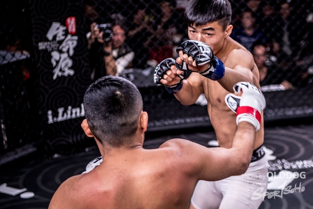 MMA-53