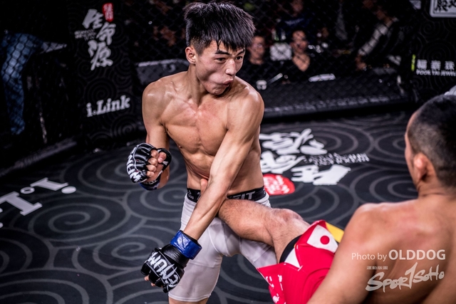 MMA-61