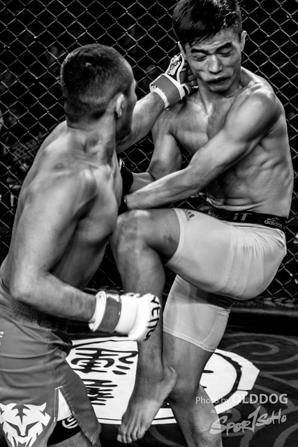 MMA-64