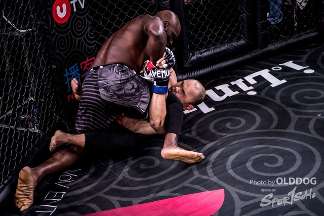 MMA-81
