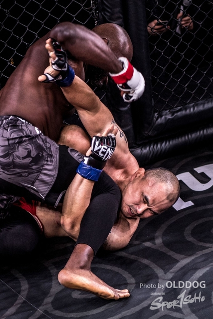 MMA-82