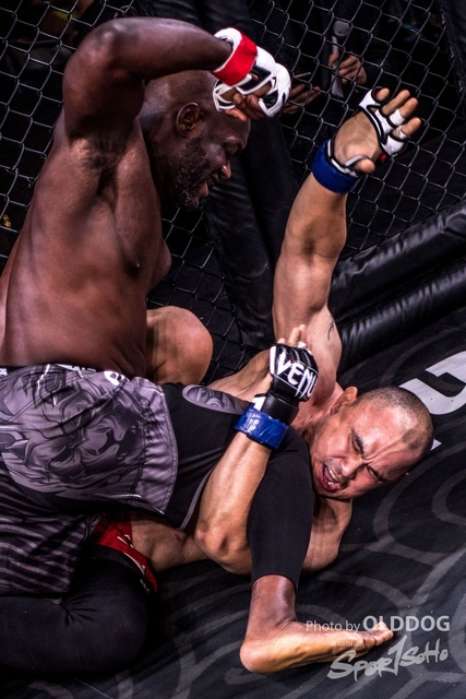 MMA-83