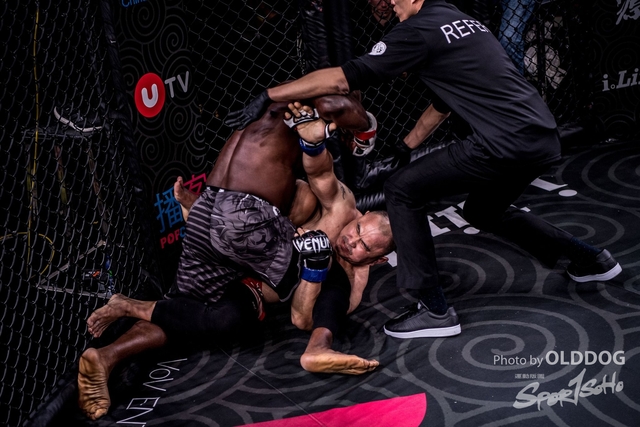 MMA-84