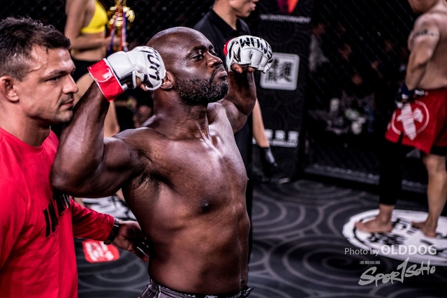 MMA-86