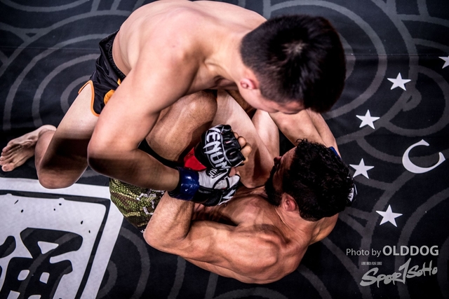 MMA-87