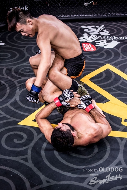 MMA-91