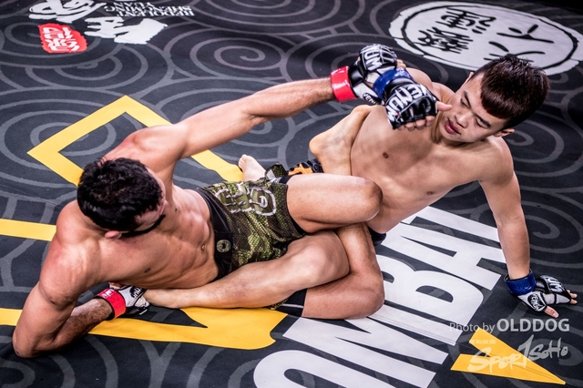 MMA-95