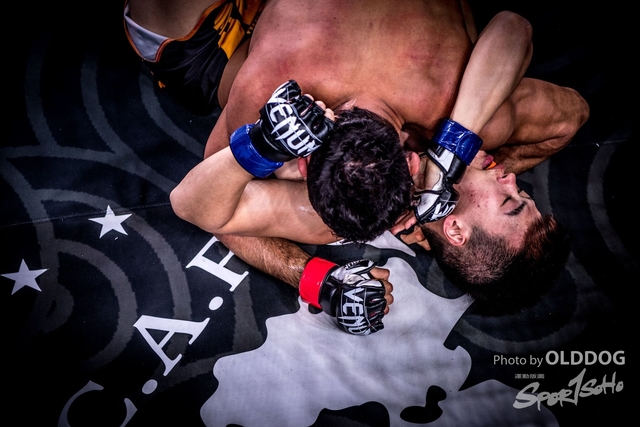 MMA-96