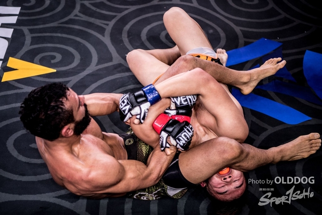 MMA-97