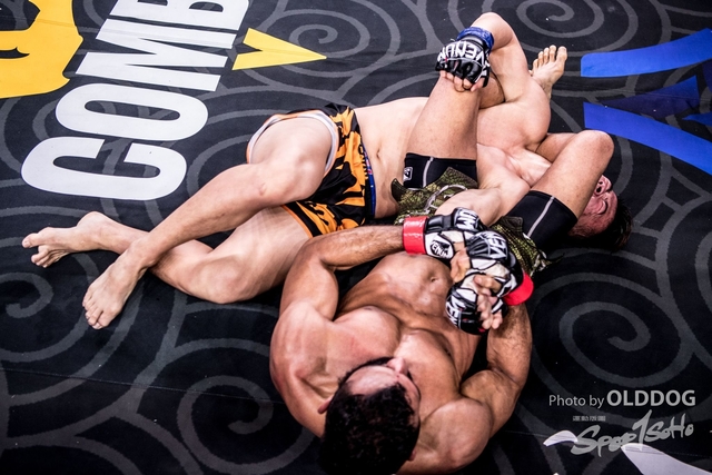 MMA-99