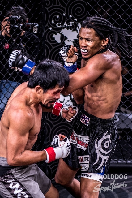 MMA-113