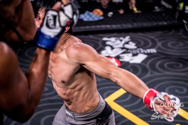 MMA-115