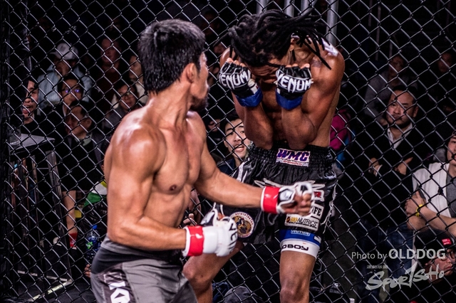 MMA-119