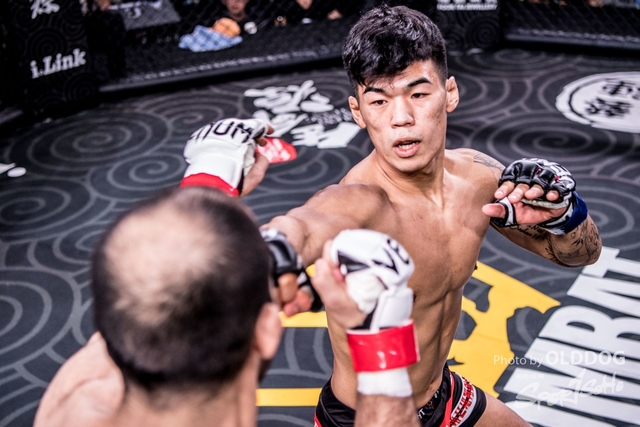 MMA-135