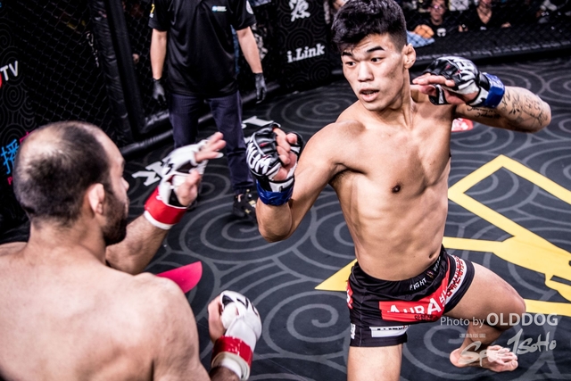 MMA-137