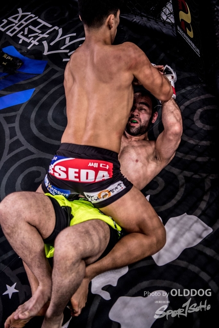 MMA-141