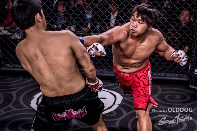 MMA-158