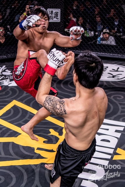 MMA-160
