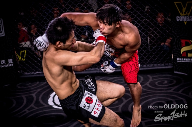 MMA-161