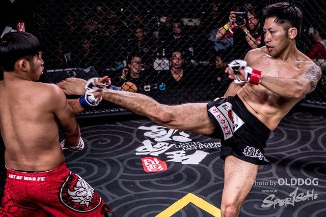 MMA-162
