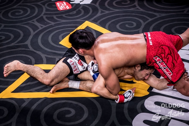 MMA-163