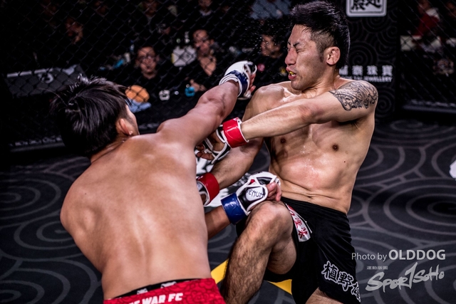 MMA-165
